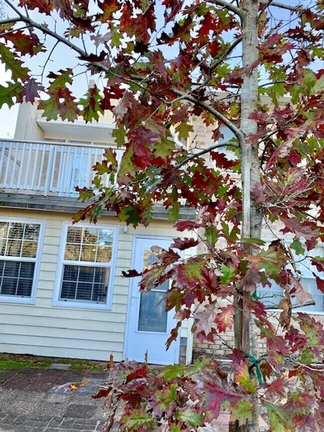 Foto del edificio - Convenient 3-Bed, 2.5-Bath James Island Co...