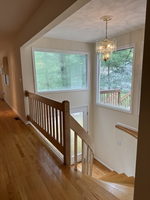Foto del edificio - 37 Arrowhead Cir