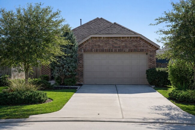 Building Photo - 137 Emory Birch