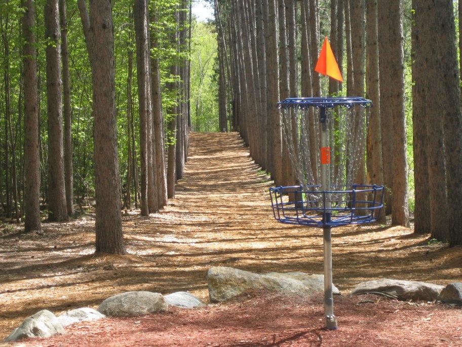 Disc golf at De La Veaga Park - 110 Goss Ave