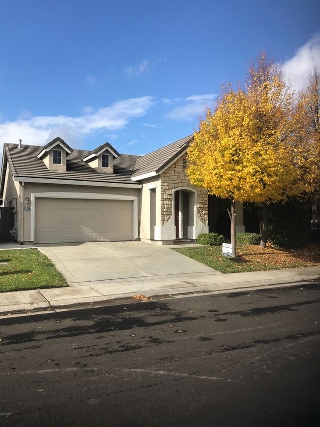 Building Photo - Newly Renovated 4x2 Single Story Home