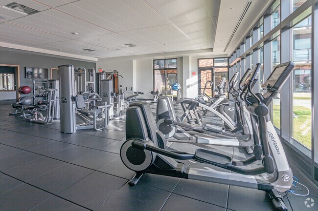 Gimnasio - The Berkman