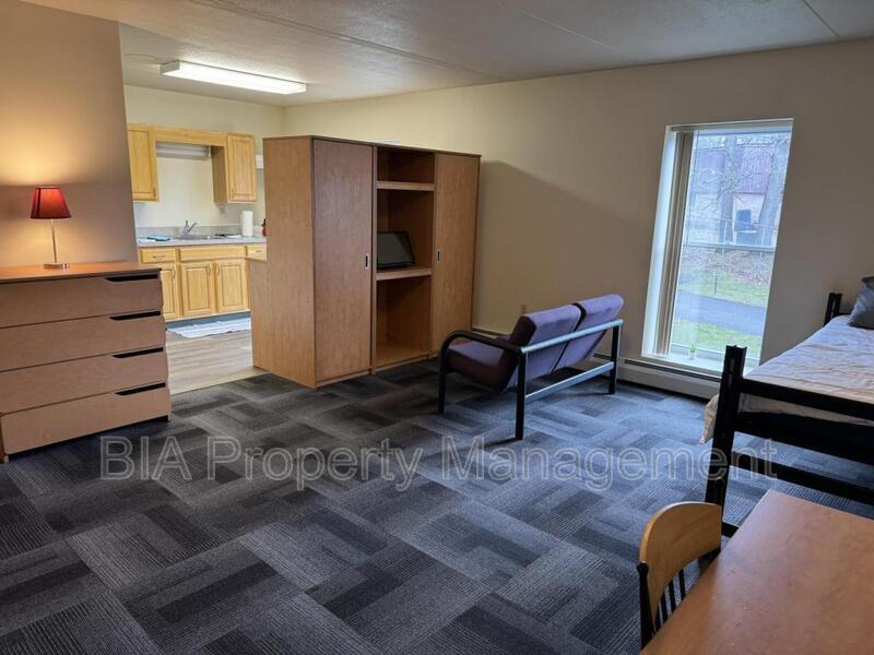 301 Grand Ave Unit 316 A1 Model, Clarion, PA 16214 Condo for Rent in