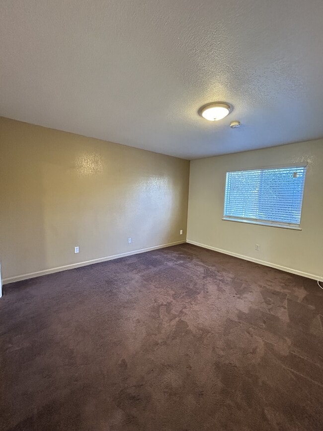 Building Photo - 58 Marys Ave