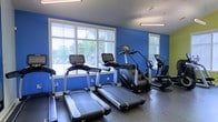 This fitness center is designed to support an effective cardio-focused workout routine. The room is finished with bold blue accent walls that create an energizing atmosphere, complemented by crisp white trim and ceiling details. Large windows line one wall, allowing ample natural light to flood the space while offering views of surrounding greenery — contributing to an open, refreshing environment during workouts.

The flooring consists of durable, dark rubber gym matting, which provides both safety and resilience underfoot. Overhead, fluorescent lighting supplements natural light to ensure the space is well-lit at any time of day.

The equipment lineup includes multiple treadmills with digital display consoles, a stair climber, and a recumbent cycle, all from modern, recognizable fitness brands. The machines are arranged in a thoughtful layout that maximizes the available floor space while allowing comfortable movement between stations. A mirrored wall section on one side further enhances the sense of depth and openness within the room.

Overall, the fitness center offers a clean, functional, and motivating environment well-suited for daily cardiovascular exercise.