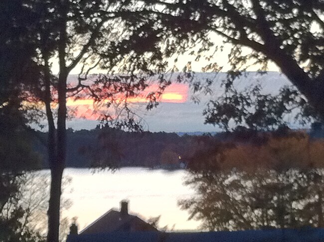 Foto del edificio - 15 Darton St