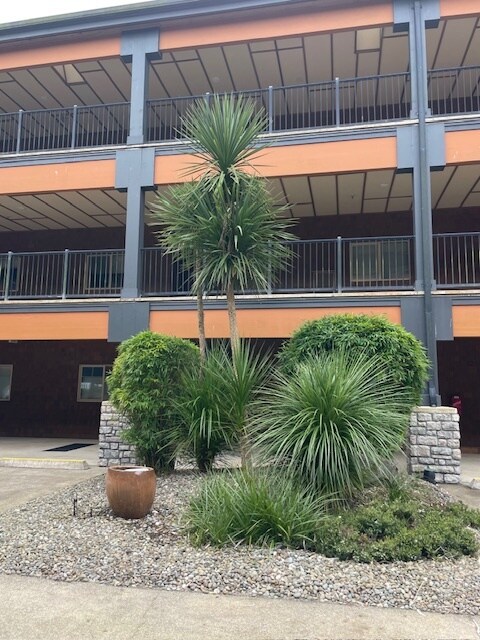 Building Photo - 743 Neddie Rose Dr