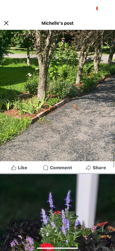 Building Photo - 26 Rochester St