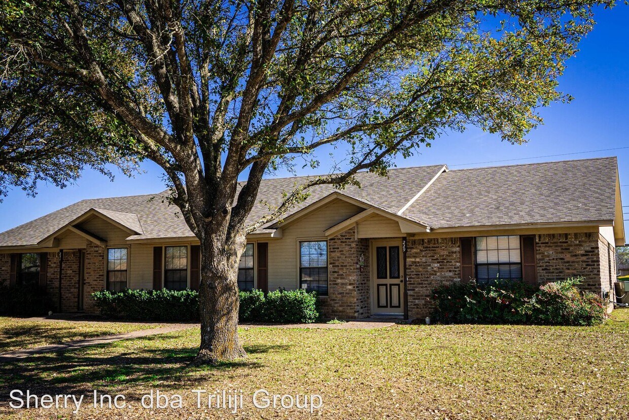 Primary Photo - 229-231 Kettler Dr
