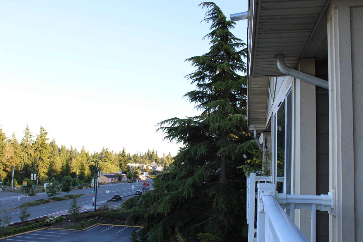 935 N 200th St Unit A302, Shoreline, WA 98133 Condo for Rent in
