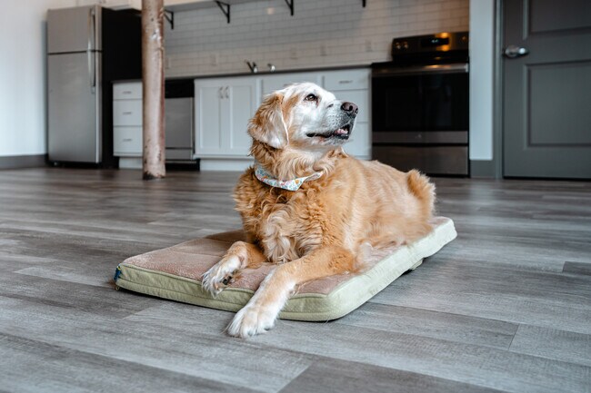 Foto del edificio - Wheeler Lofts