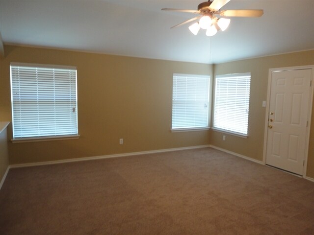 Foto del edificio - 313 Flowering Plum Ln