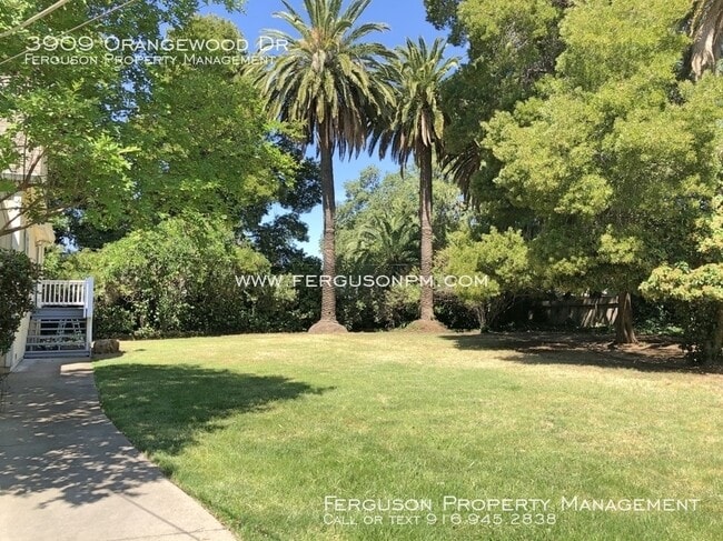 Building Photo - 3909 Orangewood Dr