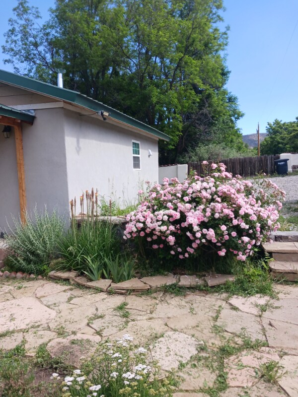 Building Photo - 222 Co Rd 52