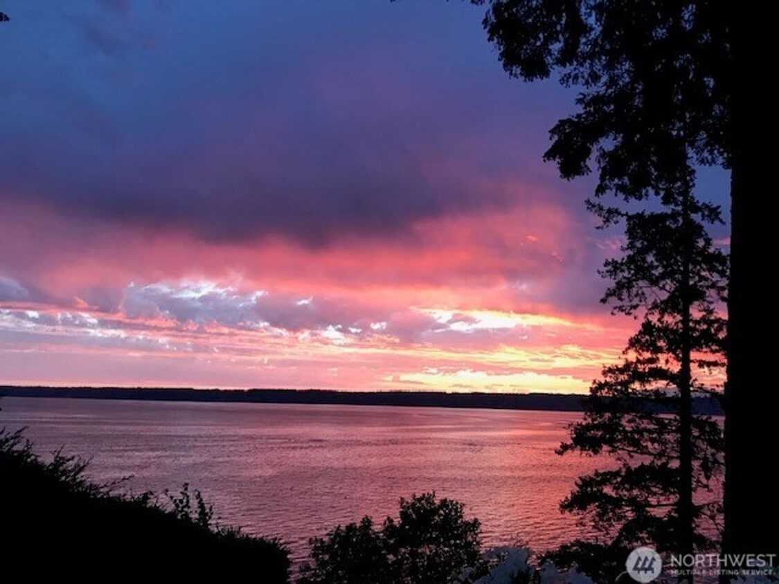 Primary Photo - Waterfront Cottage in Gig Harbor