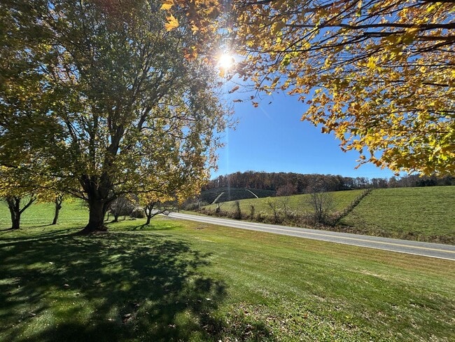 Foto del edificio - Large Brick Ranch with Finished Basement a...