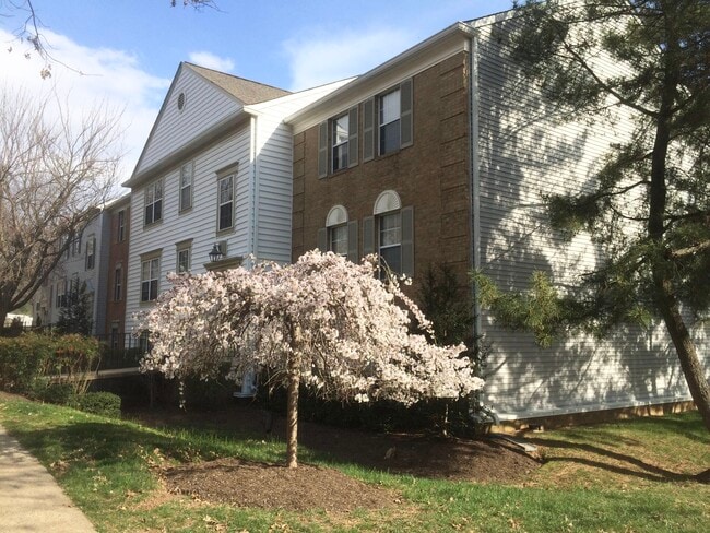 Building Photo - 7753 New Providence Dr
