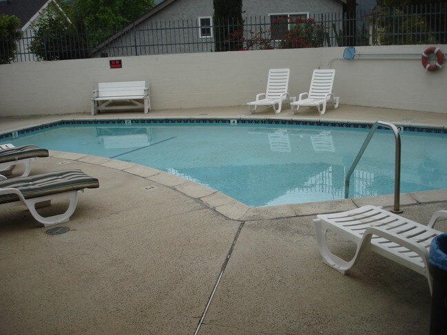 swiming pool - 3010 Montrose Ave