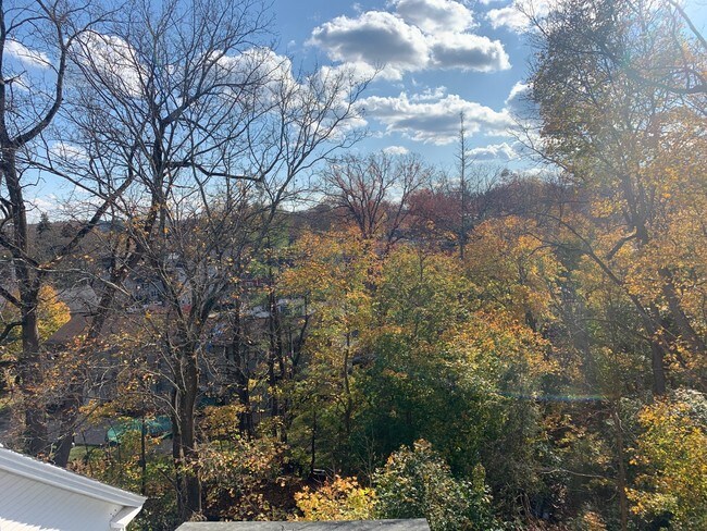 Foto del edificio - 51 South St