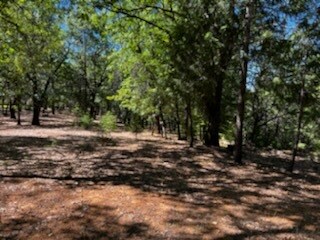 Foto del edificio - 16920 Log Cabin Trail