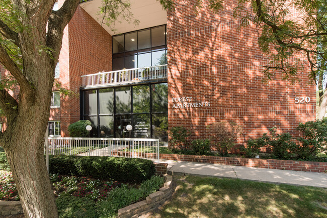 Building Photo - Forest Apartments