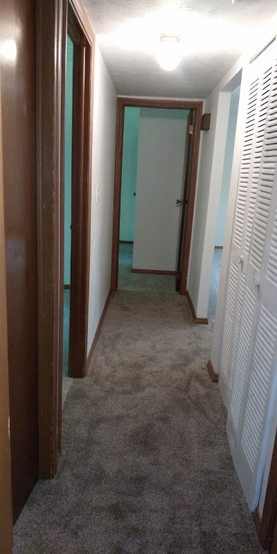 Foto del edificio - 221 Candace St