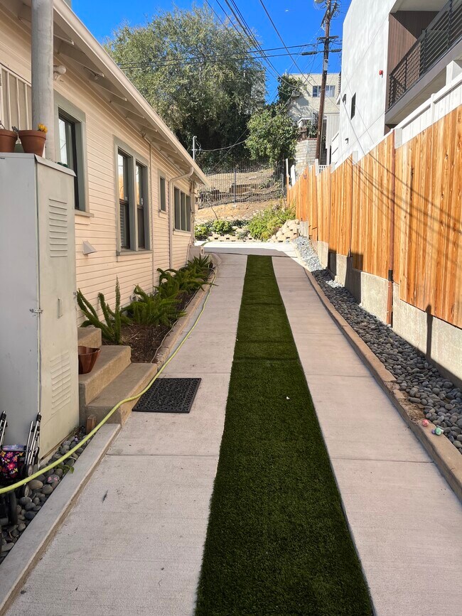 Side yard - 807 Robinson St