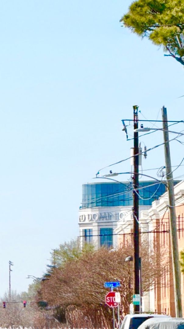 Foto del edificio - ***4 Bed RENOVATED house/ODU Students welcome! Granite countertops