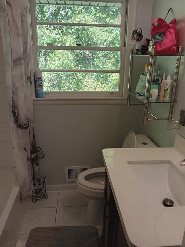 2nd Bathroom - 518 Tanager Rd