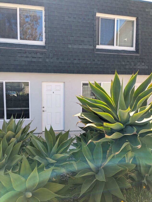 Foto principal - 641 Shasta Ave