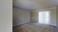 This single-floor space presents a straightforward and functional layout centered around a spacious main room. The room features wall-to-wall carpeting in a neutral beige tone, providing a soft and comfortable underfoot experience throughout. The walls are finished in a warm, muted greige palette, contributing to a calm and understated ambiance.

A prominent design element is the large vertical blind-covered window or sliding door along one wall, which allows for significant natural light to filter into the room when the blinds are open, while also offering privacy and light control when adjusted. The blinds are white, providing a clean contrast against the warmer wall tones.

The ceiling is smooth and standard height, featuring a visible HVAC vent, indicating a central air system is in place. White baseboards frame the perimeter of the room, providing a crisp border between the walls and carpeted floor. Multiple electrical outlets are positioned at regular intervals along the walls, offering practical utility throughout the space.

Overall, the room presents a clean, move-in ready environment with a neutral aesthetic that offers a versatile foundation for a variety of interior design approaches.