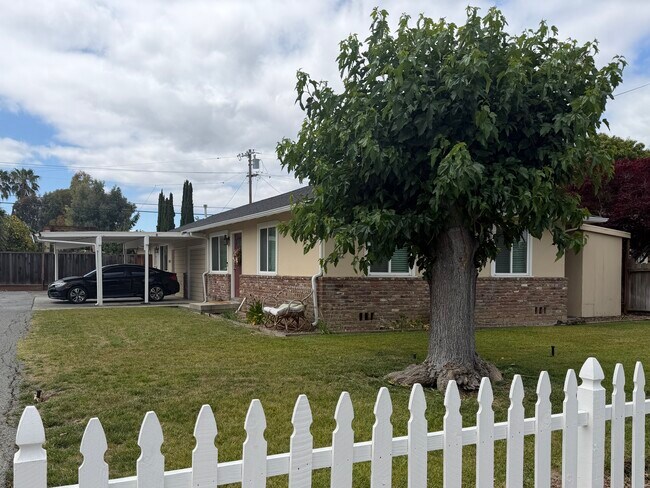 Building Photo - 3524 Olsen Dr