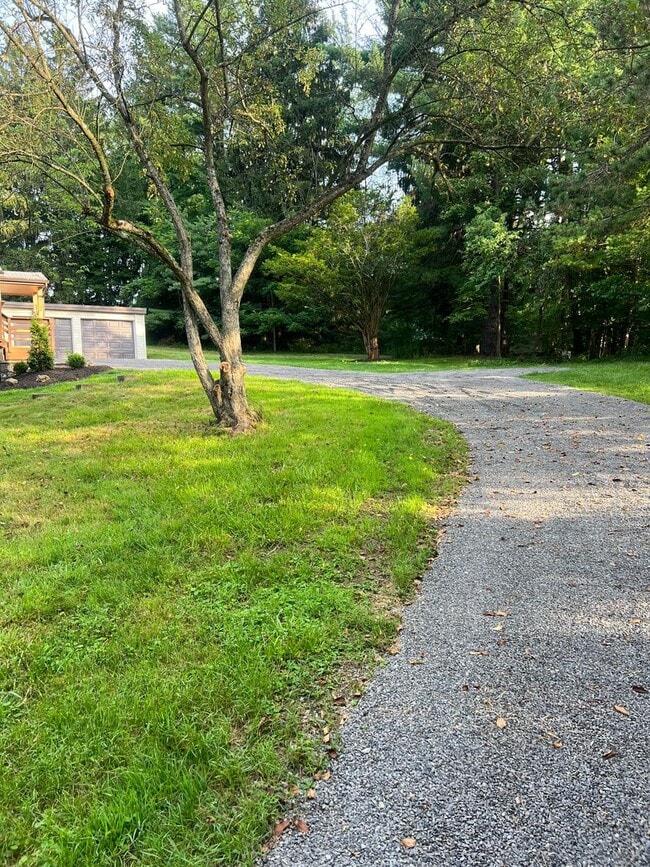 Building Photo - 3-bedroom, 2-bathroom private retreat in C...