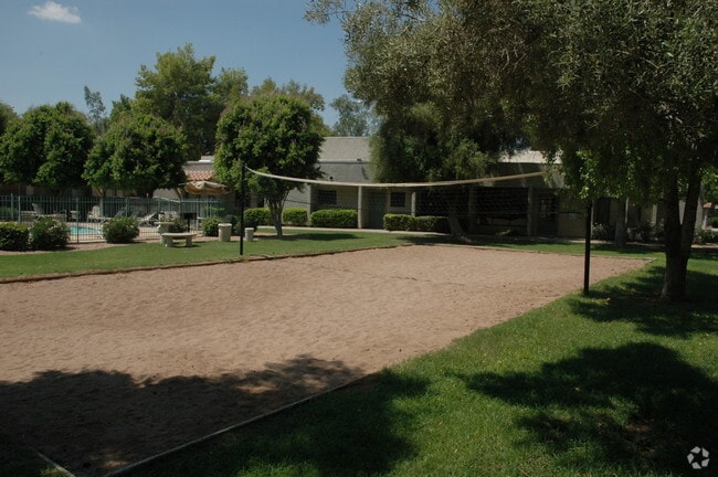 Volleyball Court - Omnia Baseline