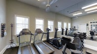 This single-floor fitness room offers a dedicated space for cardiovascular exercise, outfitted with a selection of quality cardio equipment including treadmills and elliptical trainers from brands such as True Fitness. The room is designed to feel open and spacious, aided by a large floor-to-ceiling mirror that spans one wall, effectively doubling the perceived depth of the space and allowing users to monitor their form during workouts. Natural light streams in through a row of windows fitted with horizontal blinds along one wall, providing views of outdoor greenery and contributing to a bright, welcoming atmosphere. The neutral, light green-grey walls lend a calm and focused ambiance suited to exercise. A ceiling fan is centrally mounted overhead, promoting air circulation throughout the room. The flooring is finished with durable, dark-toned carpet appropriate for a fitness setting. Overall, the space is clean, functional, and thoughtfully arranged to maximize both equipment access and comfort for users seeking an efficient cardio workout environment.