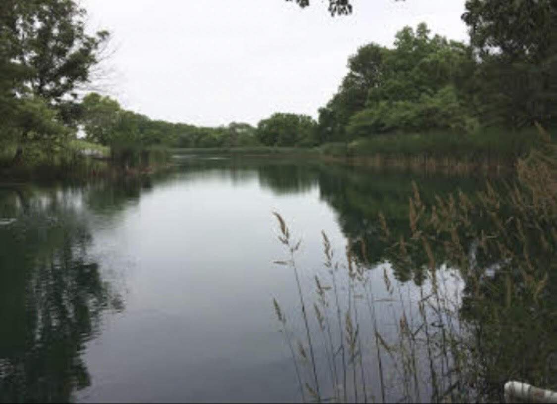 20731 N Sequoia Cv, Chillicothe, IL 61523 House Rental in Chillicothe