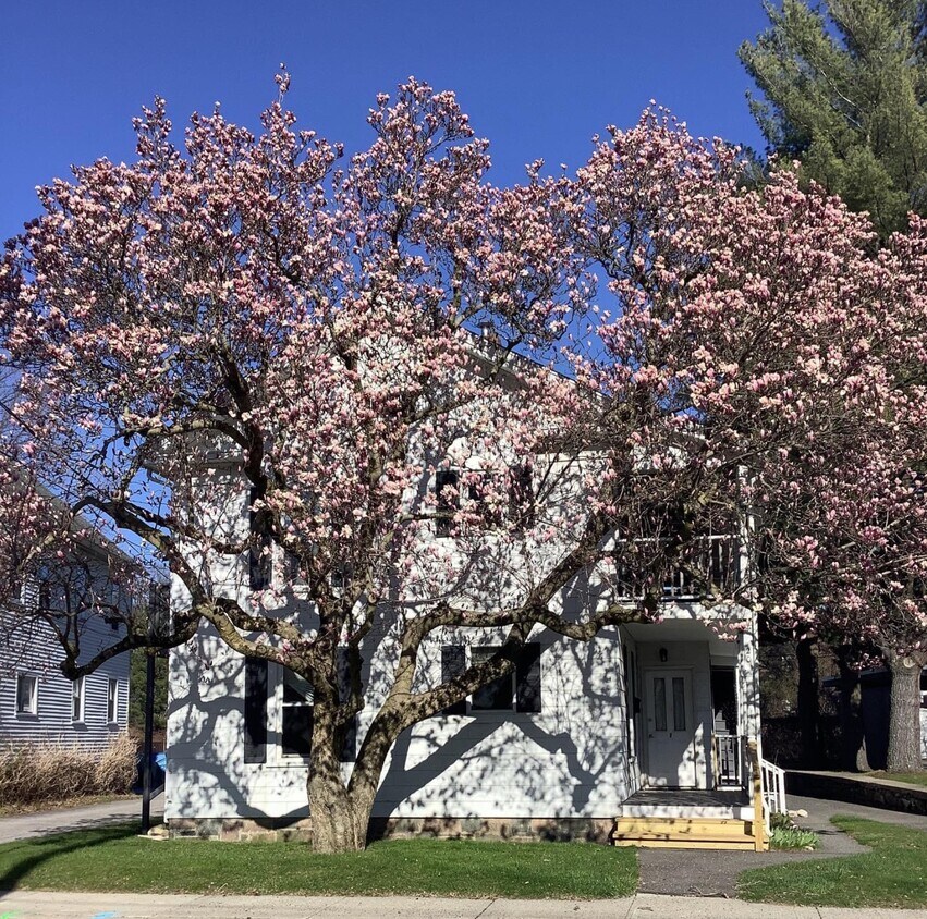 Exterior entrance - 20 Case Ave