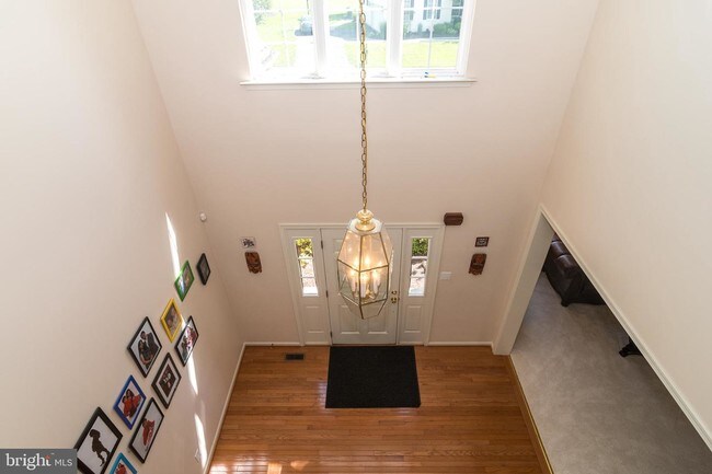 Foto del edificio - 238 Ferndale Ln