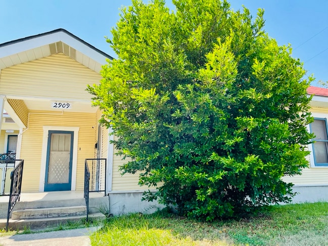 Unit 2909 - 2907 N Elmendorf St
