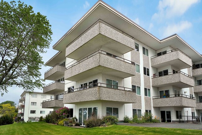 Photo du bâtiment - Royal Reef Apartments