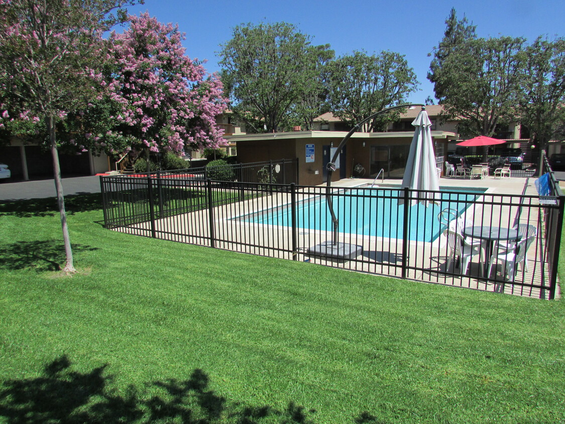 Nice common area with large pool. - 440 W Citracado Pkwy