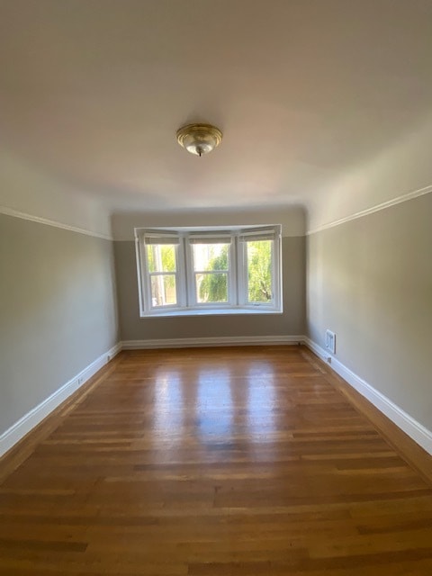 Primary Photo - 245 Shrader St