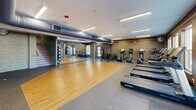 Located at 111 Cochran Rd in Clemson, SC, this fitness facility spans a single floor and offers two fully equipped exercise rooms designed to support a wide range of training activities. The space is thoughtfully laid out to accommodate both cardiovascular and strength-training needs.

The first exercise room features a row of treadmills and elliptical machines positioned along large windows that allow ample natural light to fill the space. A wall of mirrors expands the sense of openness, while rubber flooring and hardwood workout areas provide durable, versatile surfaces. This room also houses a dumbbell rack with benches, a punching bag, and a functional training rig, making it suitable for a variety of workout styles, including free weights and boxing-inspired routines.

The second exercise room continues the facility's comprehensive offerings with multiple power racks loaded with barbells and bumper plates for strength training, along with a row of stationary cycling bikes for cardio sessions. Open floor space on hardwood sections provides room for stretching or functional movements.

Throughout both rooms, the warm taupe and grey color palette is accented by bold gold and orange striping near the ceiling, nodding to the spirit of Clemson University. Clemson championship banners proudly adorn the walls, reinforcing the facility's local identity. Linear LED lighting ensures consistent illumination across all workout areas.