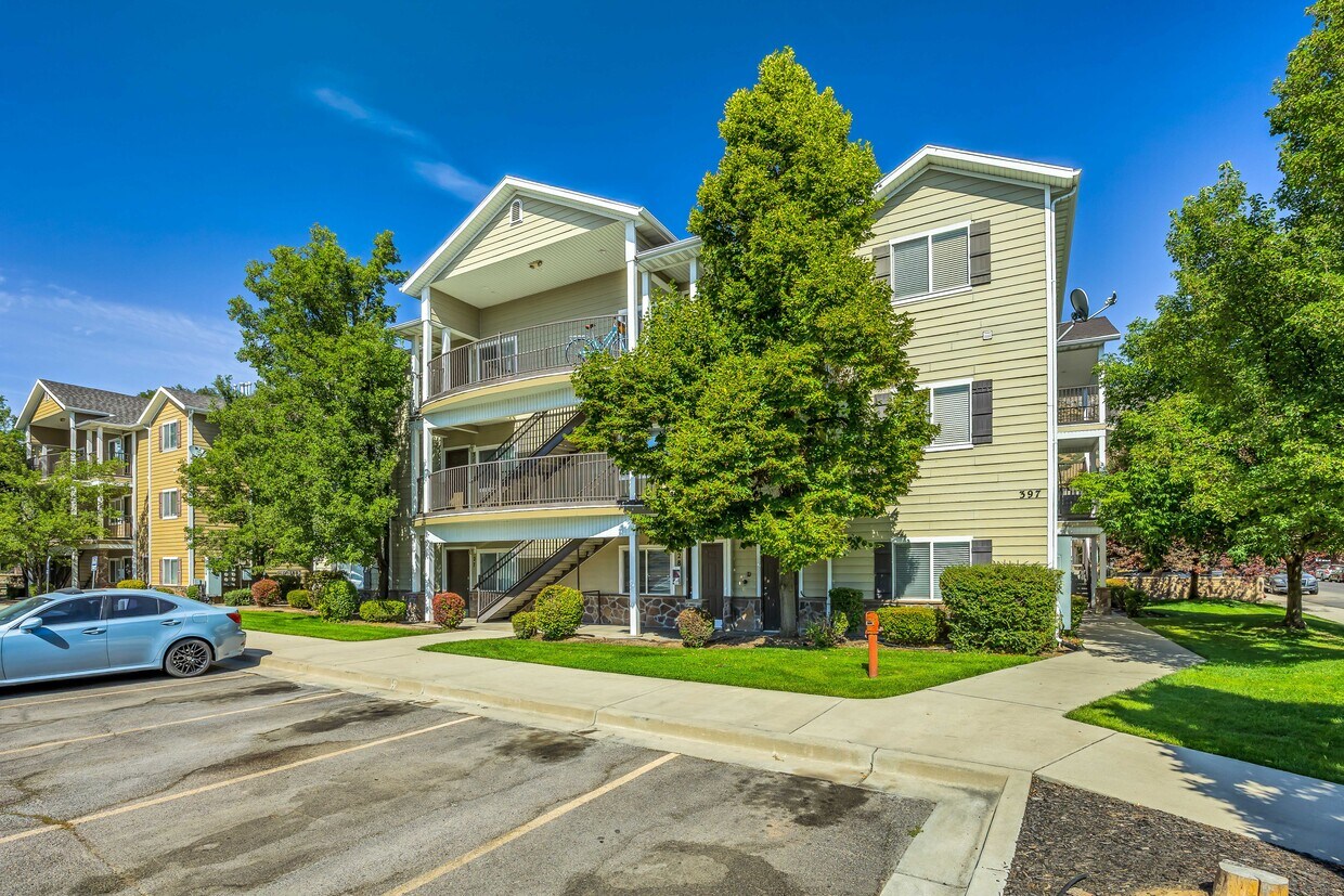 Foto principal - Cedar Street Holdings