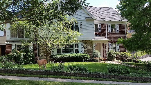 Foto del edificio - 3303 Mowbray Ln