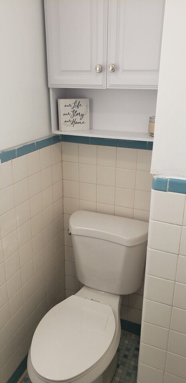 New Toilet, shelving and Vanity - 1932 Magellan Ave