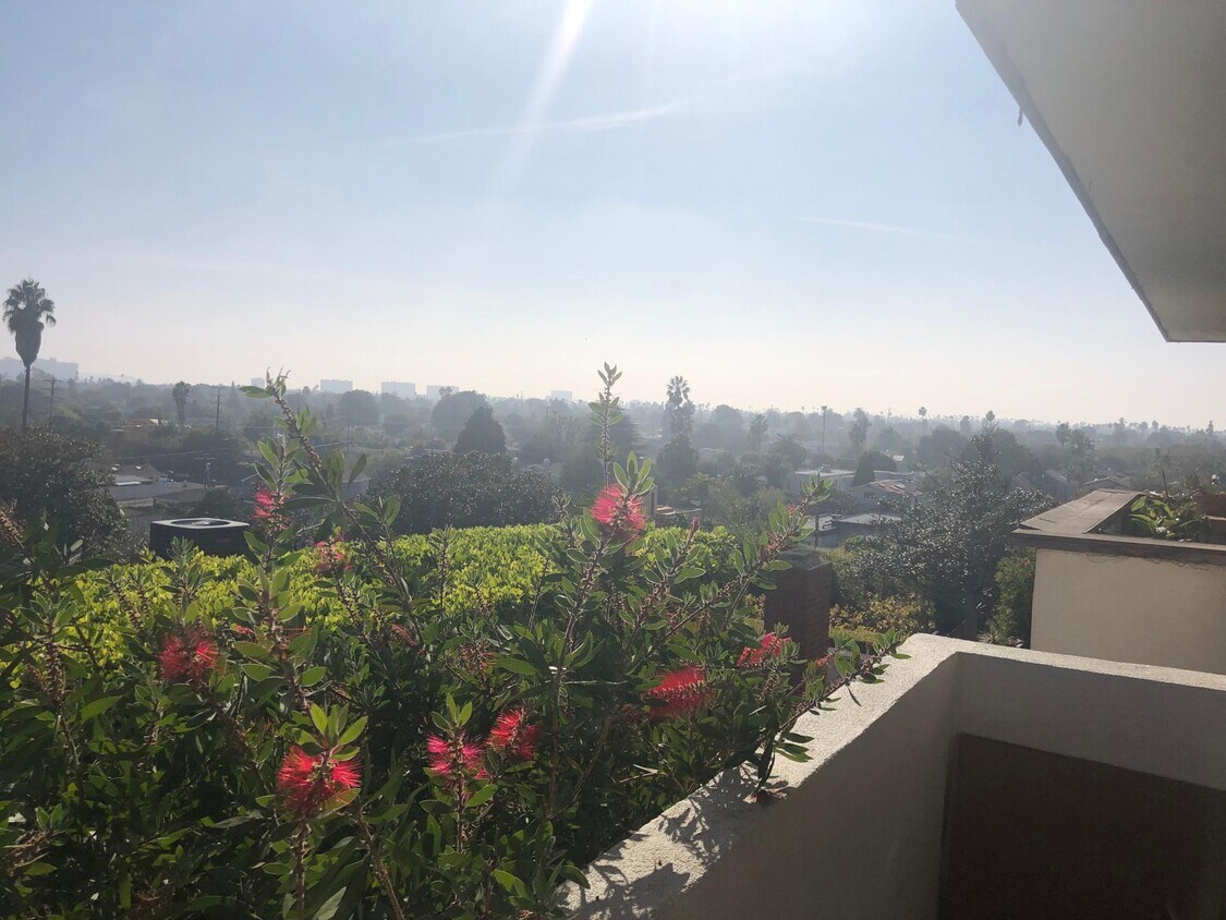 View from Balcony - 3444 Beethoven St