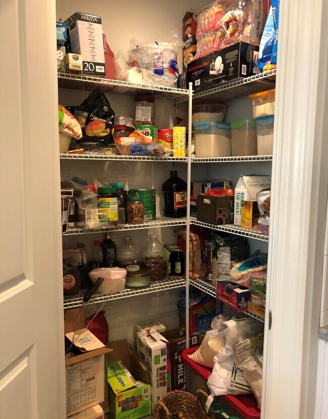 Building Photo - 1810 Butternut Dr