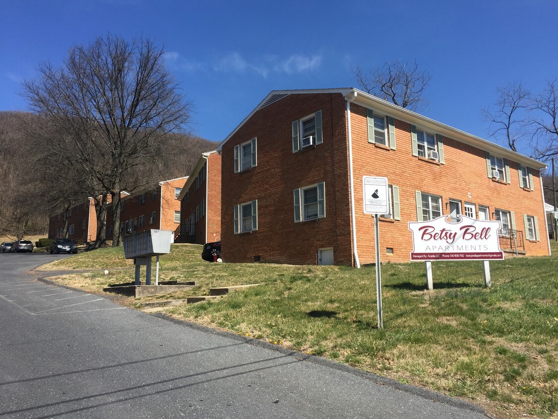 437 Betsy Bell Rd, Staunton, VA 24401 Apartments Staunton, VA