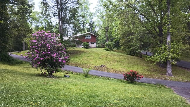 View from fully screened in front porch - 615 Tank Hill Rd